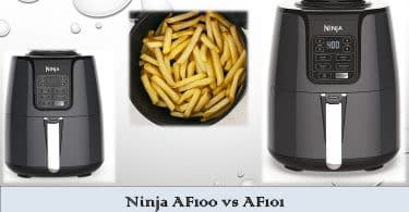 Ninja AF100 vs AF101