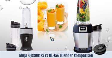 Ninja QB3001SS vs BL456 Blender